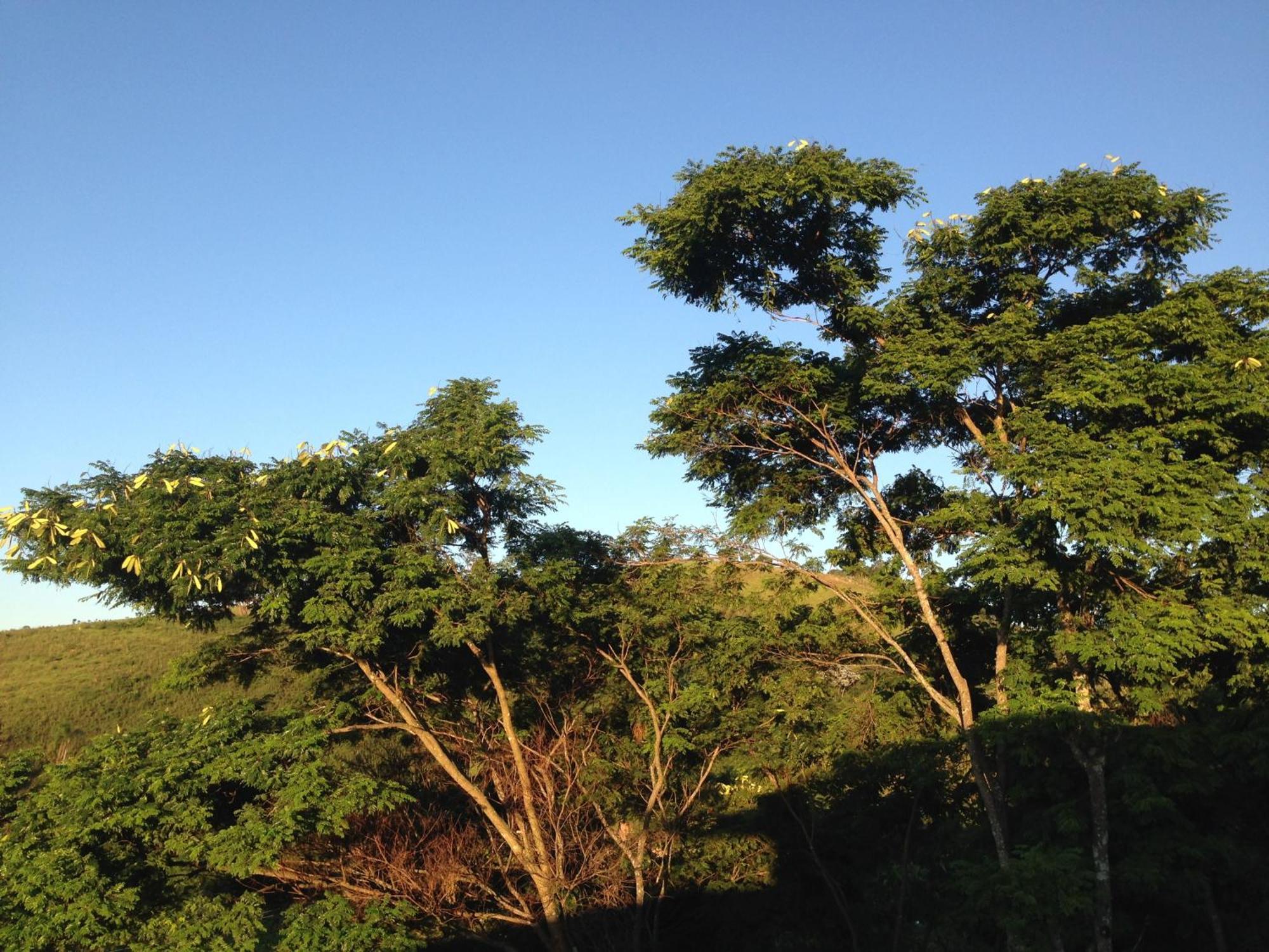 Pousada Vista Verde กุนญา ห้อง รูปภาพ